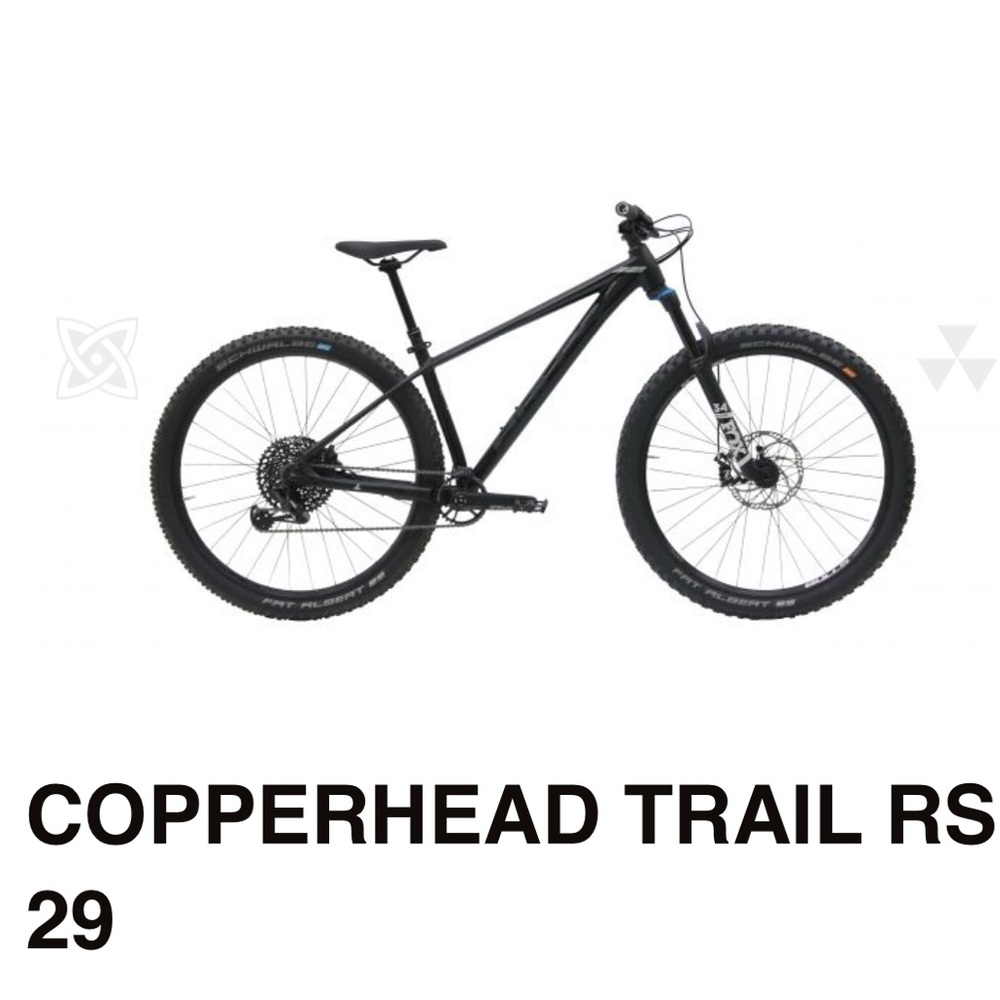 Bulls copperhead 29 7005 aluminum professional mountain bike